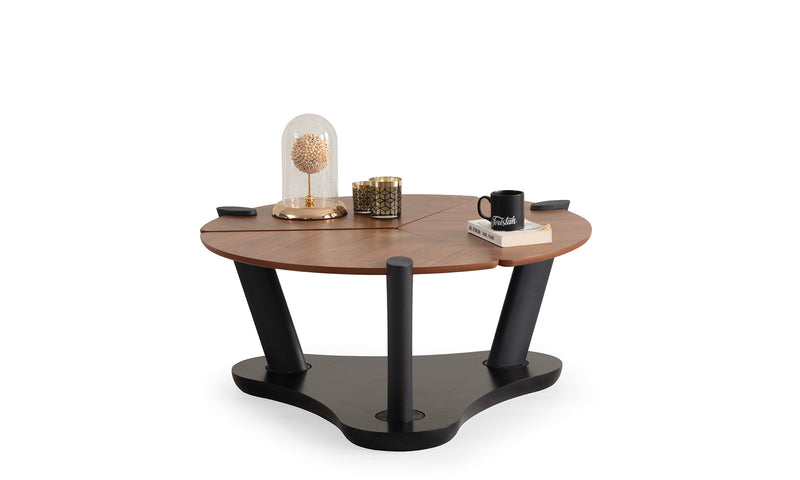 Roberto Coffee Table